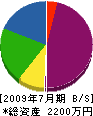 九州電研 貸借対照表 2009年7月期