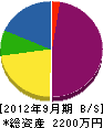 神田産業 貸借対照表 2012年9月期