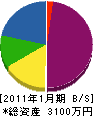 田代総合管工 貸借対照表 2011年1月期