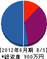 千葉正土木 貸借対照表 2012年6月期