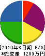 弘侑興業 貸借対照表 2010年6月期