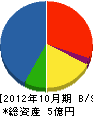 菊池技建 貸借対照表 2012年10月期