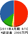 栄松苑 貸借対照表 2011年4月期