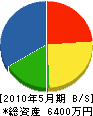 渡辺ガラス店 貸借対照表 2010年5月期