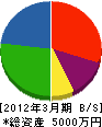 島田工業 貸借対照表 2012年3月期