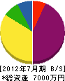 阪神器化学 貸借対照表 2012年7月期