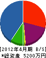 田中塗装工芸 貸借対照表 2012年4月期