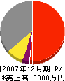 原田電気商会 損益計算書 2007年12月期