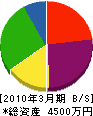 丸雄リョウセ 貸借対照表 2010年3月期