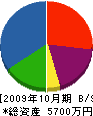 伊藤特殊工事 貸借対照表 2009年10月期