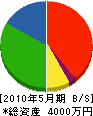 井川設備 貸借対照表 2010年5月期
