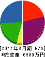 タイシン工業 貸借対照表 2011年3月期