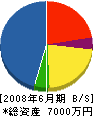 文京電気 貸借対照表 2008年6月期