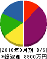 新治田中組 貸借対照表 2010年9月期