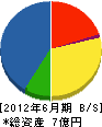 藤原工業 貸借対照表 2012年6月期