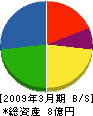 岩田建設 貸借対照表 2009年3月期