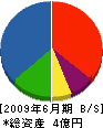 松本建築 貸借対照表 2009年6月期