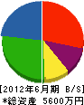 永井組 貸借対照表 2012年6月期