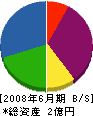 矢崎建工 貸借対照表 2008年6月期