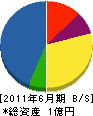 宮松建設 貸借対照表 2011年6月期
