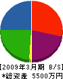木村工務店 貸借対照表 2009年3月期