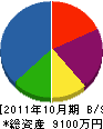 博進工業 貸借対照表 2011年10月期