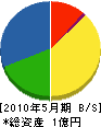 土田組 貸借対照表 2010年5月期