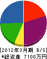 青木左官 貸借対照表 2012年3月期
