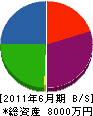 竹田工業 貸借対照表 2011年6月期