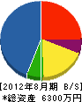 岩井設備 貸借対照表 2012年8月期