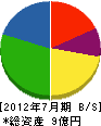 辰巳住宅 貸借対照表 2012年7月期