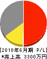 坪井電気商会 損益計算書 2010年6月期