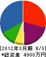 十川工業 貸借対照表 2012年3月期