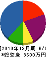 寺井工務店 貸借対照表 2010年12月期