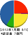 瀬崎組 貸借対照表 2012年1月期