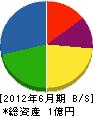渡辺設備工業 貸借対照表 2012年6月期