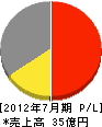 日本ヴィクトリック 損益計算書 2012年7月期