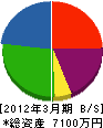 長嶋建設 貸借対照表 2012年3月期