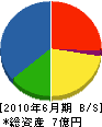和田商店 貸借対照表 2010年6月期