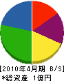 片山電機工業所 貸借対照表 2010年4月期