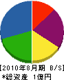 早坂緑化 貸借対照表 2010年8月期