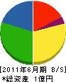 仲川建設 貸借対照表 2011年6月期