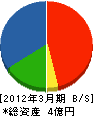 二葉商会 貸借対照表 2012年3月期