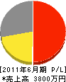上野ガラス 損益計算書 2011年6月期
