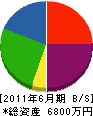 山幸綜合設備 貸借対照表 2011年6月期