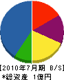 笠井組 貸借対照表 2010年7月期