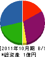 松田建装 貸借対照表 2011年10月期