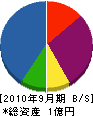 大塚工務店 貸借対照表 2010年9月期