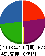 キタノ 貸借対照表 2008年10月期