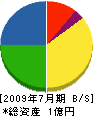 渡辺土建 貸借対照表 2009年7月期